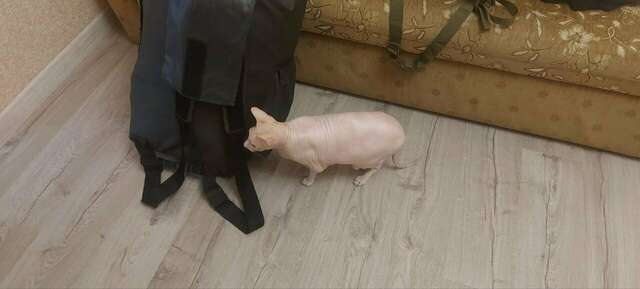 Гостиница АнжеликА Адлер-38